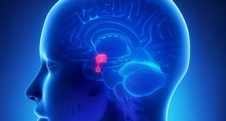 Pineal Gland