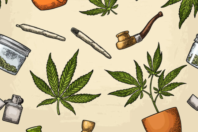 Cannabis and paraphenalia