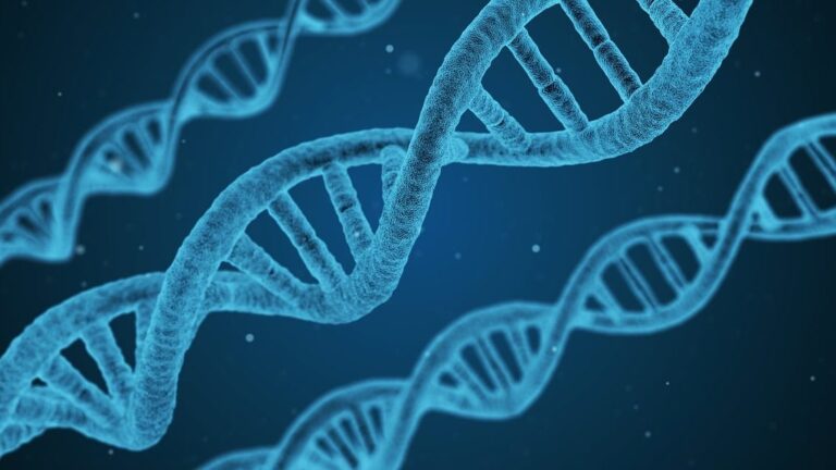 dna, helix, string-1811955.jpg