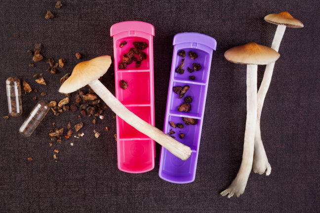 Magic Mushrooms, healing, and connection