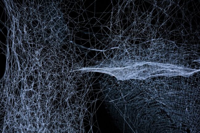 web, spider, white, dark, insect, cobweb, blue dark, blue web, web, web, web, spider, spider, spider, spider, spider, dark, dark, cobweb